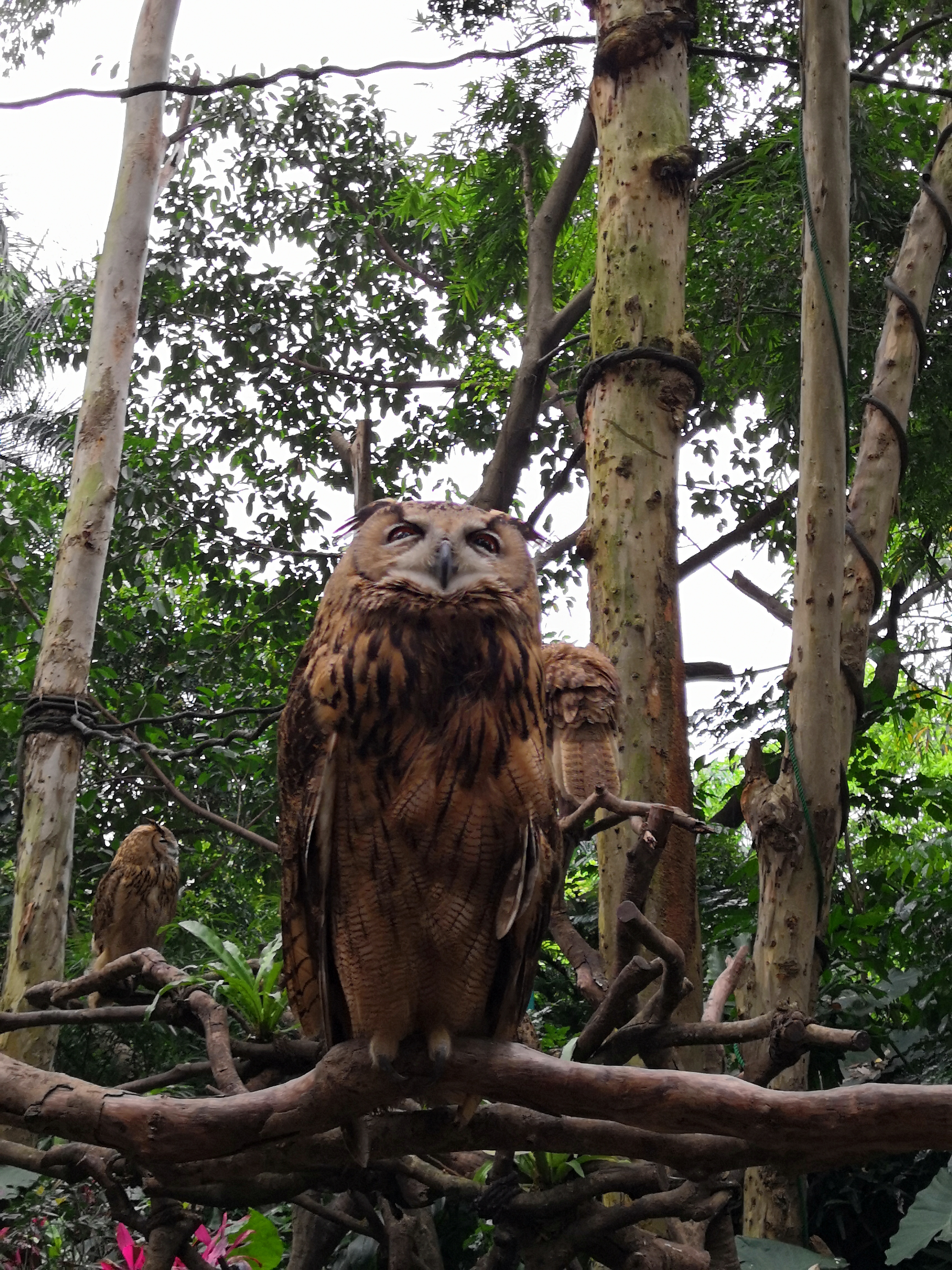 广州及珠海长隆3天2夜亲子游攻略,从广州长隆到珠海长隆亲子游攻略