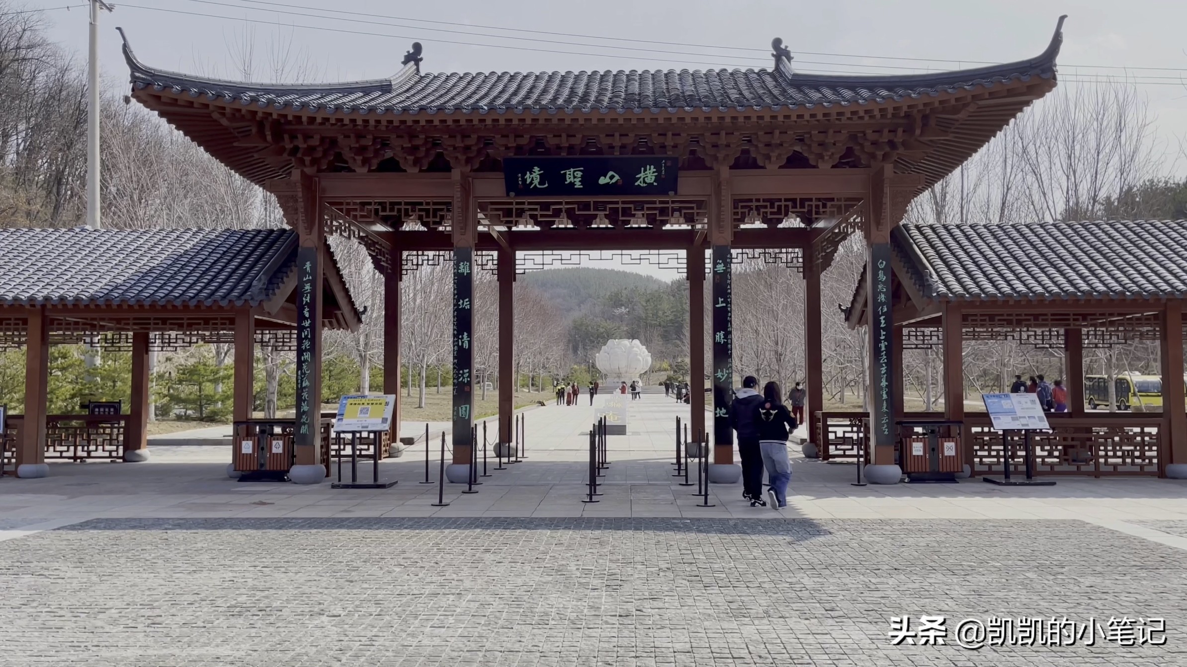 横山寺樱花园门票,横山寺和龙王塘樱花园
