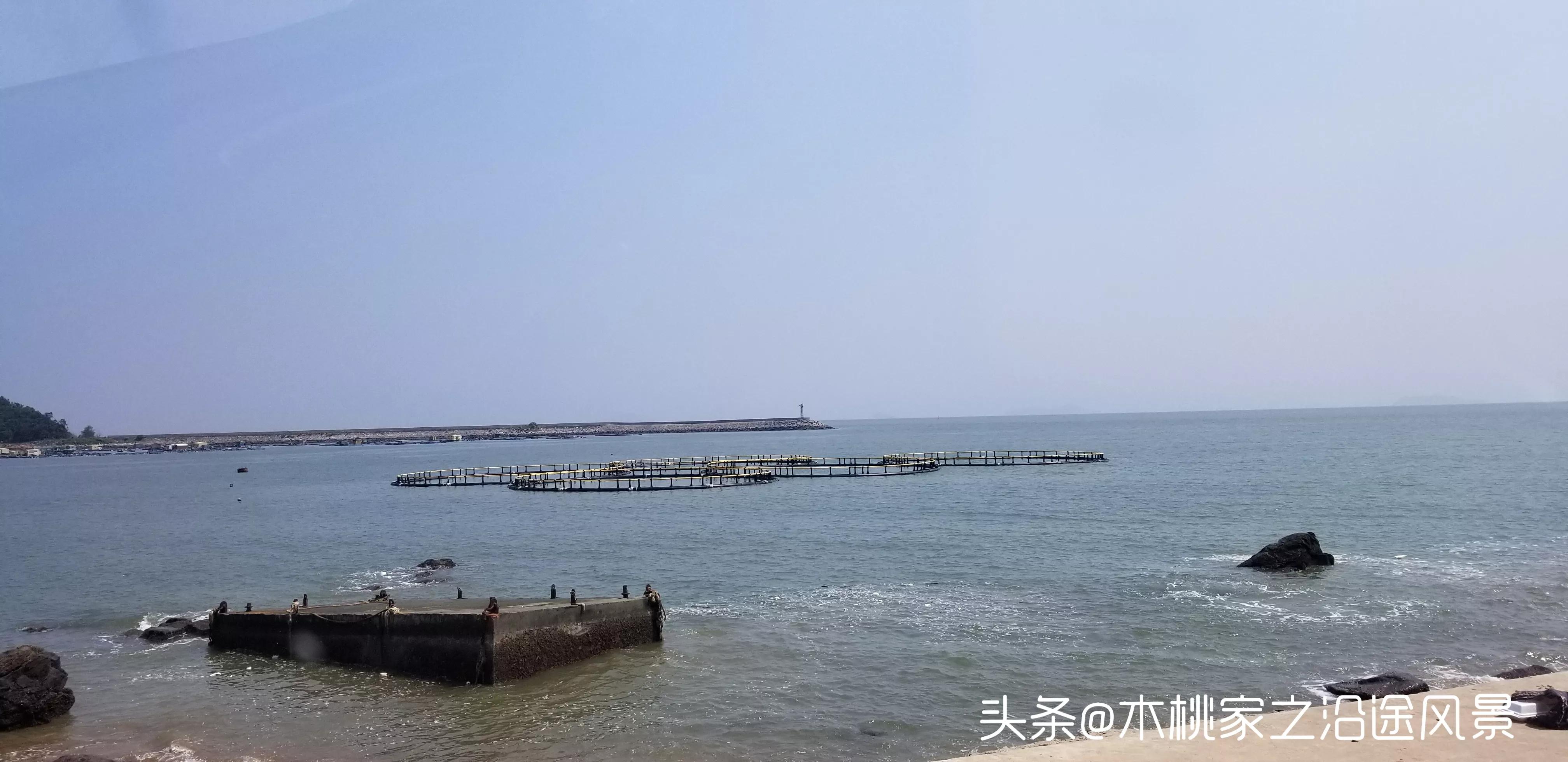 广东东平旅游攻略自驾游,东平旅游攻略住宿