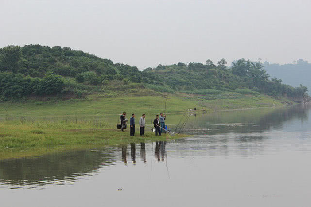 鲤鱼怎么做肉质劲道,钓鱼人喜欢鲤鱼吗