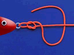 锚鱼钓钩绑线全套方法,如何绑钓钩鱼线