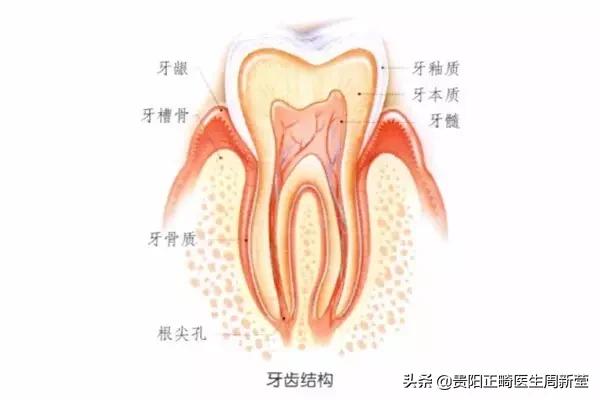 牙齿开瓶盖会损伤吗,牙齿开瓶盖导致牙齿有微弱酸痛感