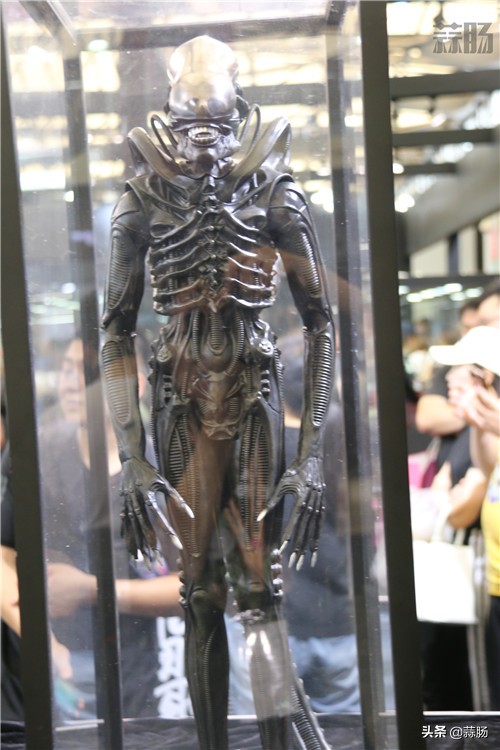 wf手办展飞天,wf上海限定手办