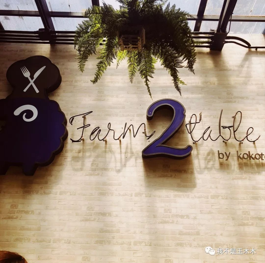 泰国之旅我们在一起,泰国自由行海岛推荐