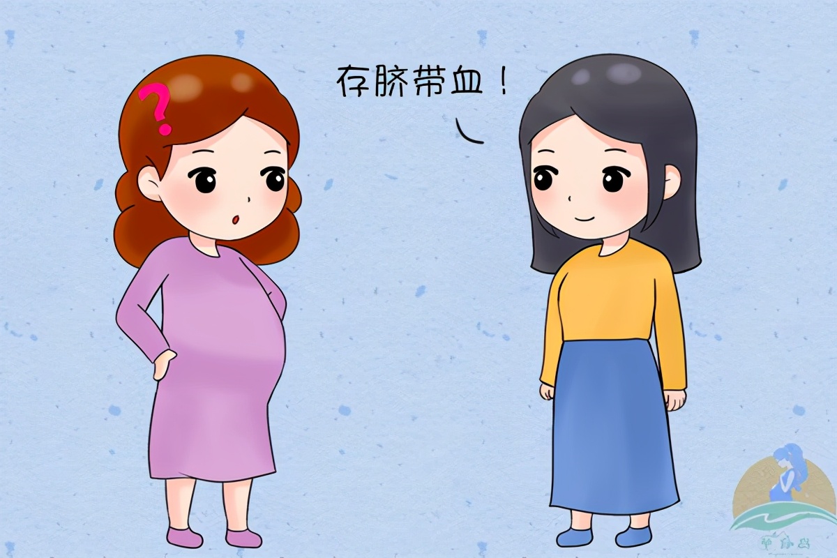 脐带血一般费用标准,脐带血有必要存吗专家建议