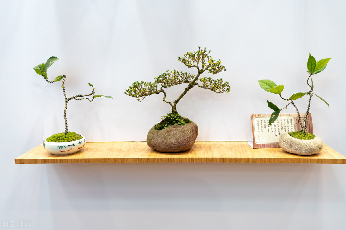 办公室甲醛去除方法,办公室有甲醛味怎么去除