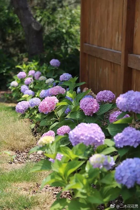 澶氳倝澶х浜屾湪,澶氳倝杈句汉浜屾湪