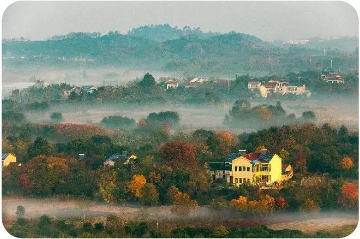 江苏无锡星级乡村旅游区,无锡最出名的旅游村
