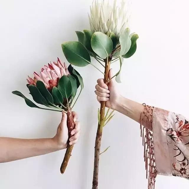 鲜花发过来应该怎么处理,鲜花蔫了倒点什么进去