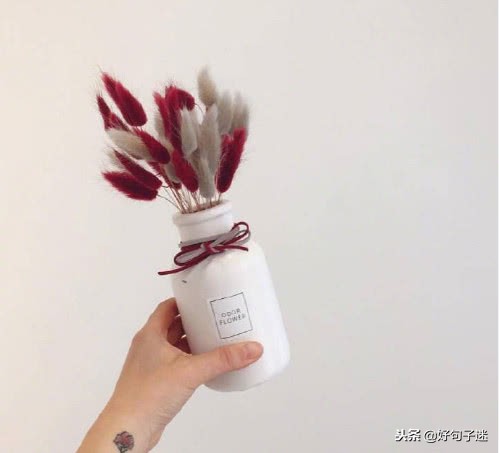 每日经典语录简短,短小金句语录