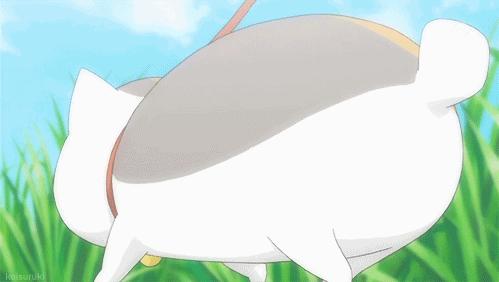 没想到猫也会功夫,没想到猫会这样走路