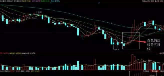 及时止损止盈一般是不会亏的,散户止损有什么好处