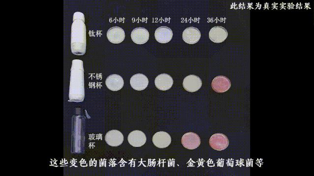 日本正品不秀钢虎牌保温杯,日本虎牌象印保温杯
