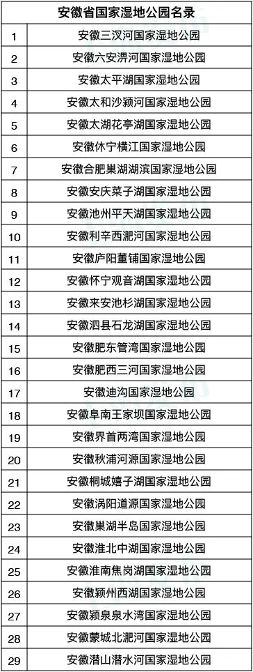 崇明岛西沙湿地公园视频,崇明西沙湿地公园芦苇荡