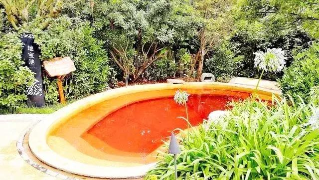 曲靖这31个景点你都去过了吗,曲靖千亩花海美景