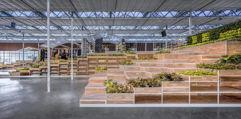 乡村振兴特色文化案例分享,关于乡村振兴比较有创意的点子