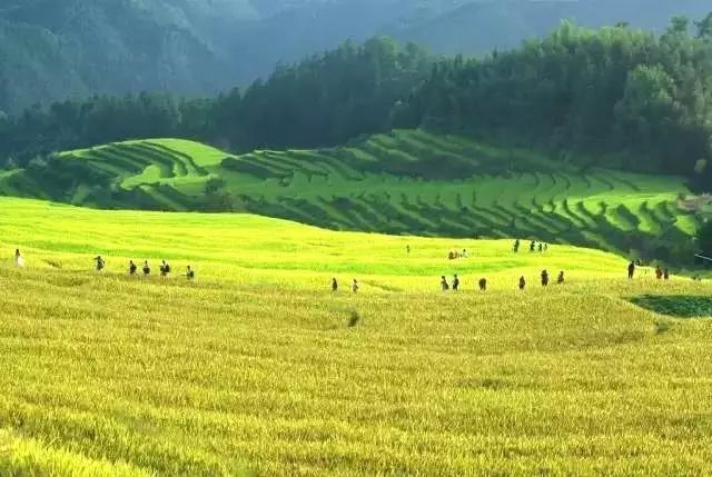 广东旅游攻略自驾游最佳路线,广东旅游攻略自驾游带孩子三天