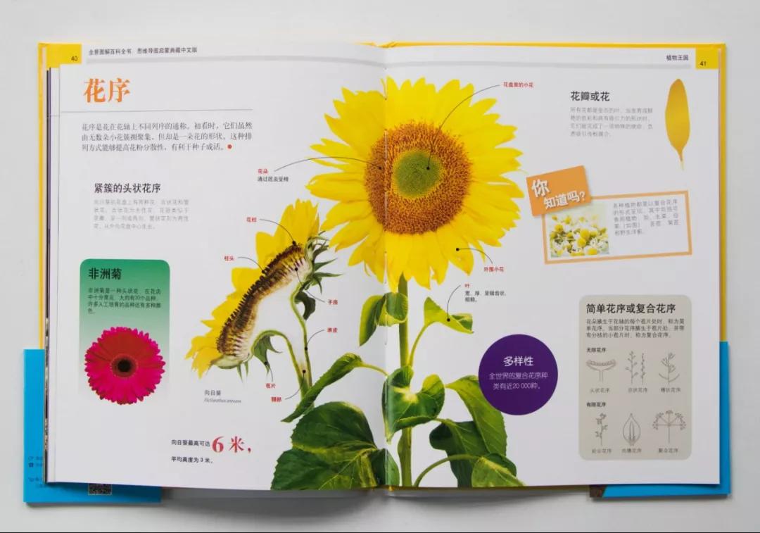 中国科学院院士讲解视频,中国科学院院士谈中国科学