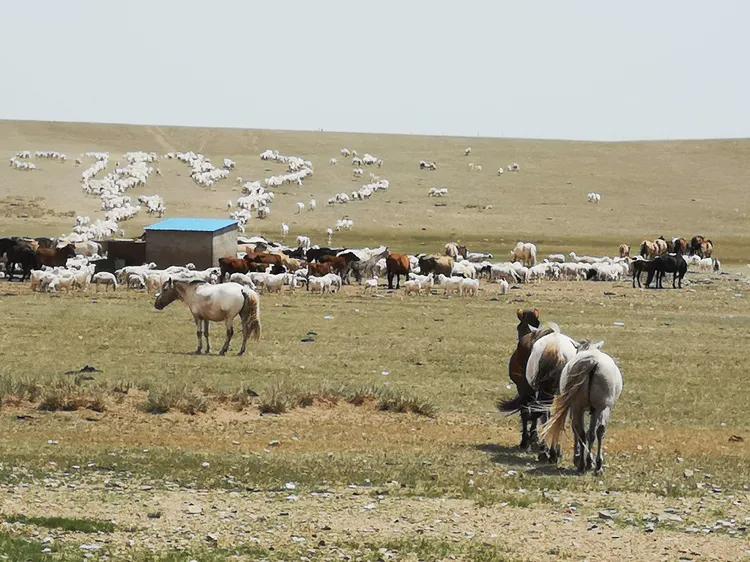 纯朴的年代回忆,纯朴的时光