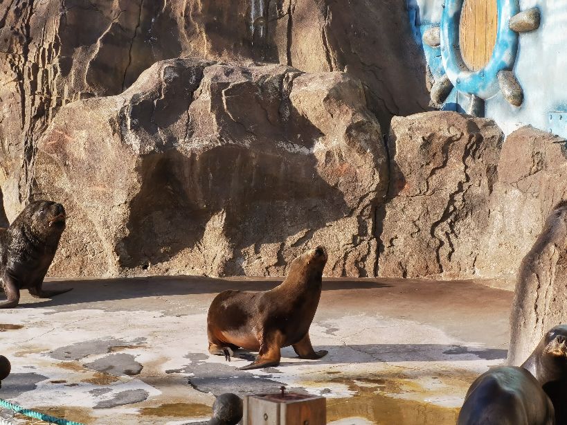 大连老虎滩5a景区,大连老虎滩5馆旅游攻略