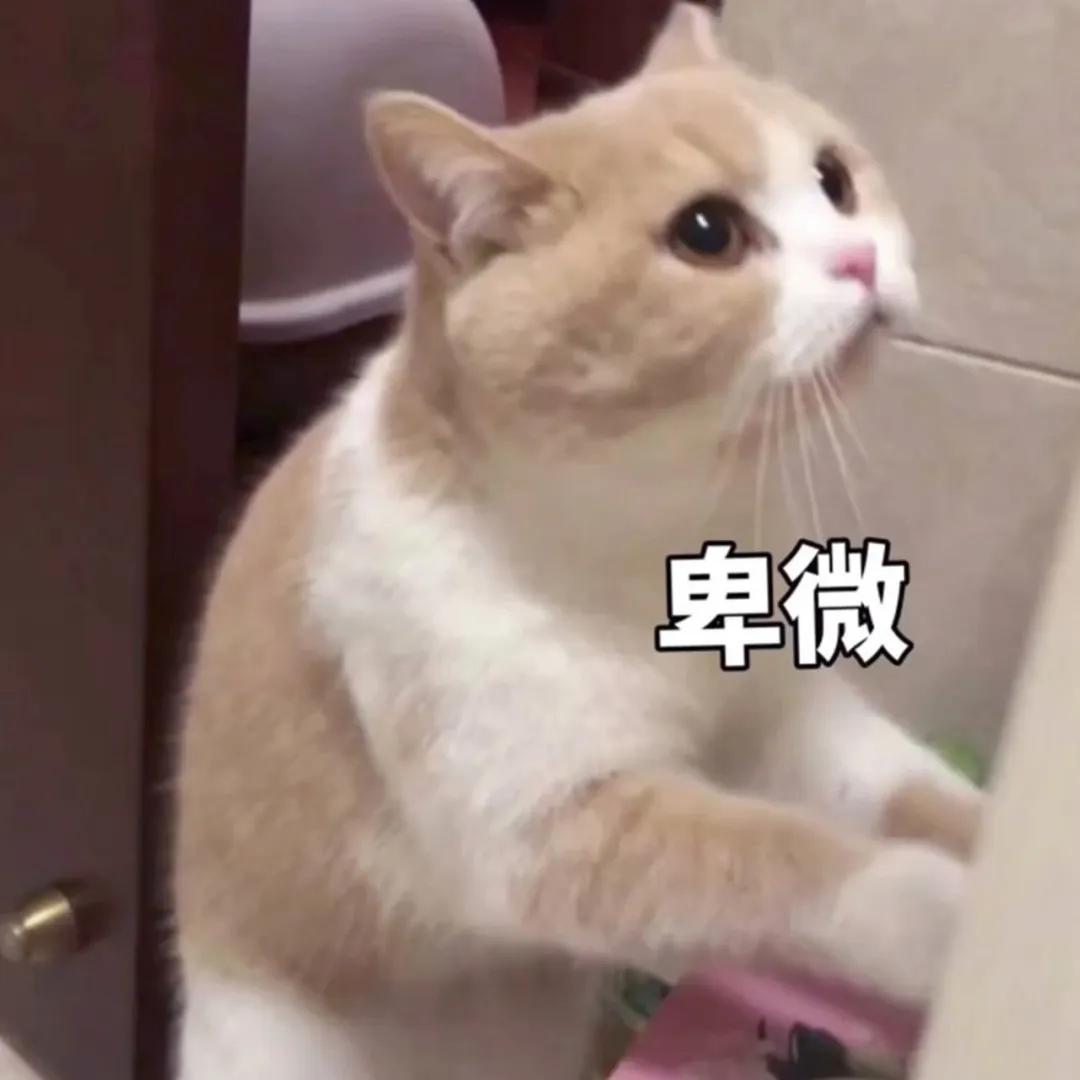 随心飞可以无限飞一个城市吗,想飞就飞随意飞