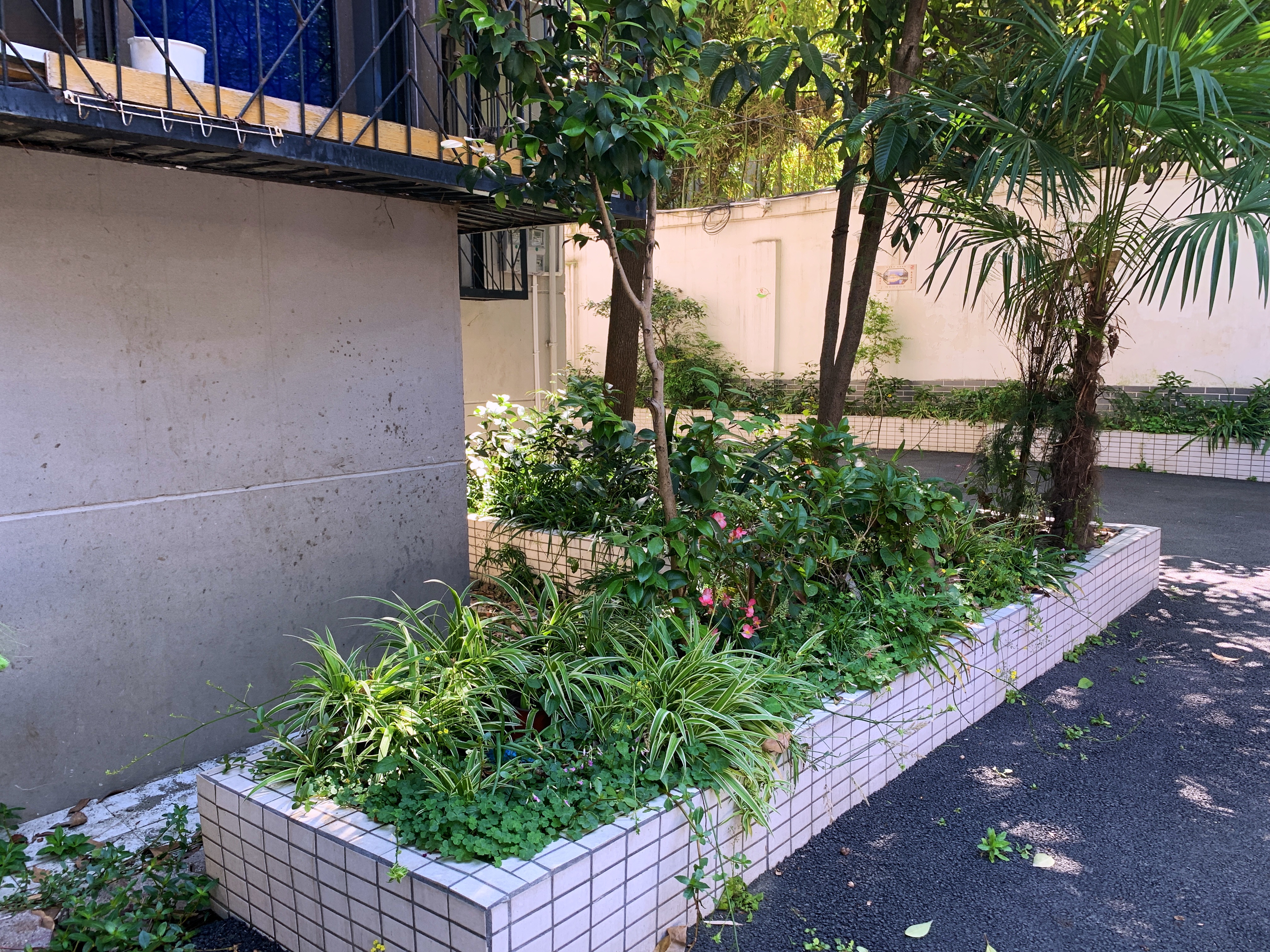 2021幸福感城市成都,2021最具幸福感城市成都