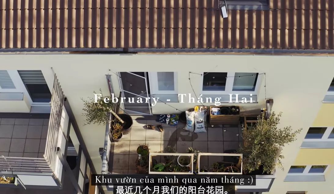 李子柒靠海外视频月入80万,德国版李子柒