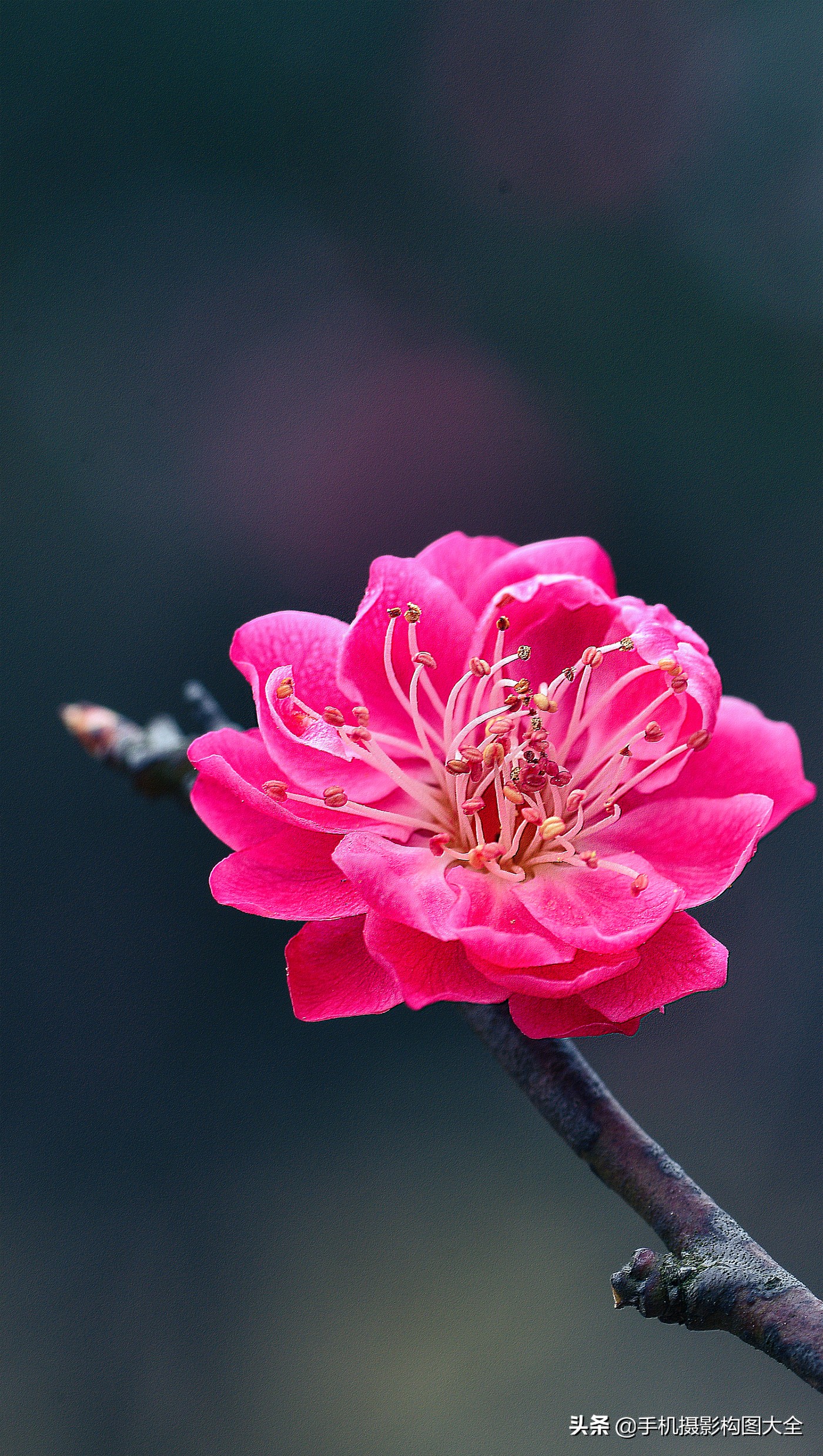 把你的相片做成动态图片,试试你的照片动漫效果