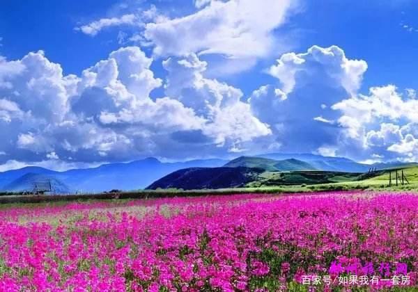 春节香格里拉旅游攻略,游玩香格里拉需要多少钱