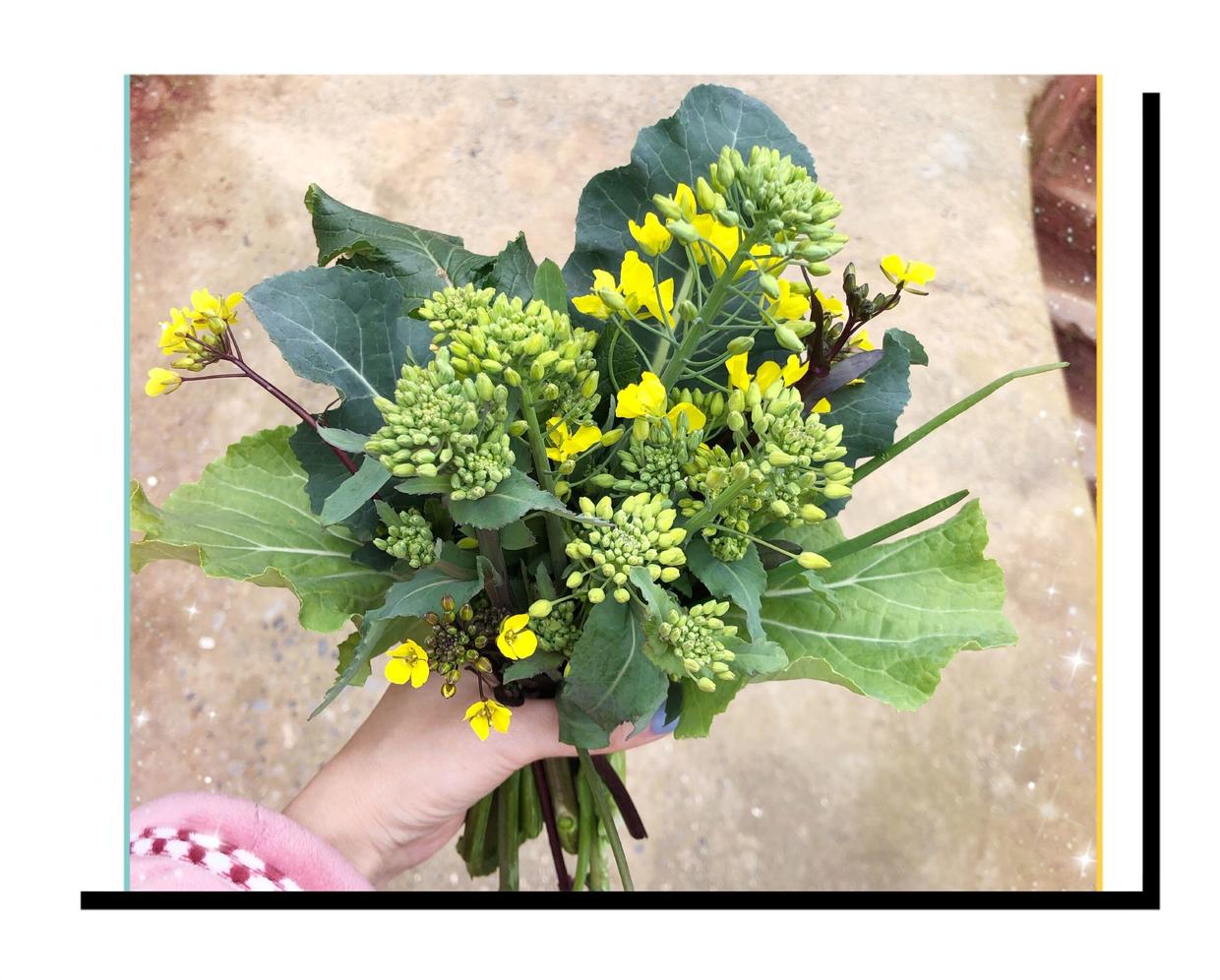 情人节没有礼物不想在一起了,情人节没收到礼物也要开心