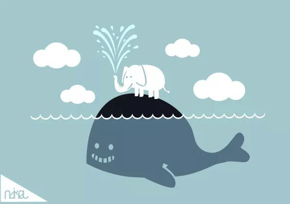 爱因斯坦用智慧赚钱会怎样,爱因斯坦复利投资