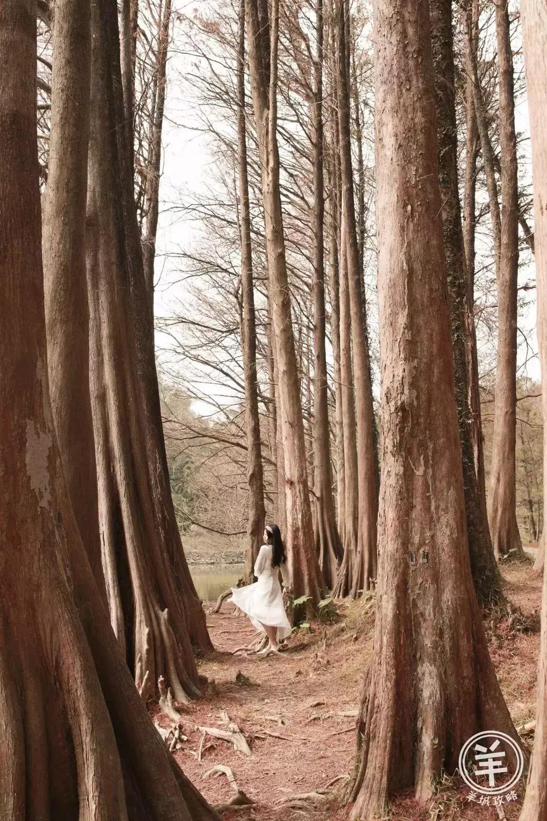 2020广州三八节免费景点,广州三八节哪些景点公园免费