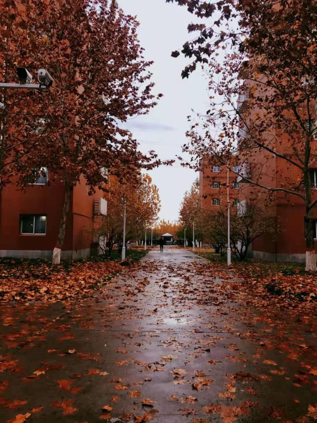 河北政法职业学院欢迎新生,河北政法整顿