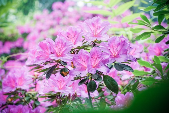 长沙三天两夜吃喝玩乐,长沙三天两晚自由行攻略酒店