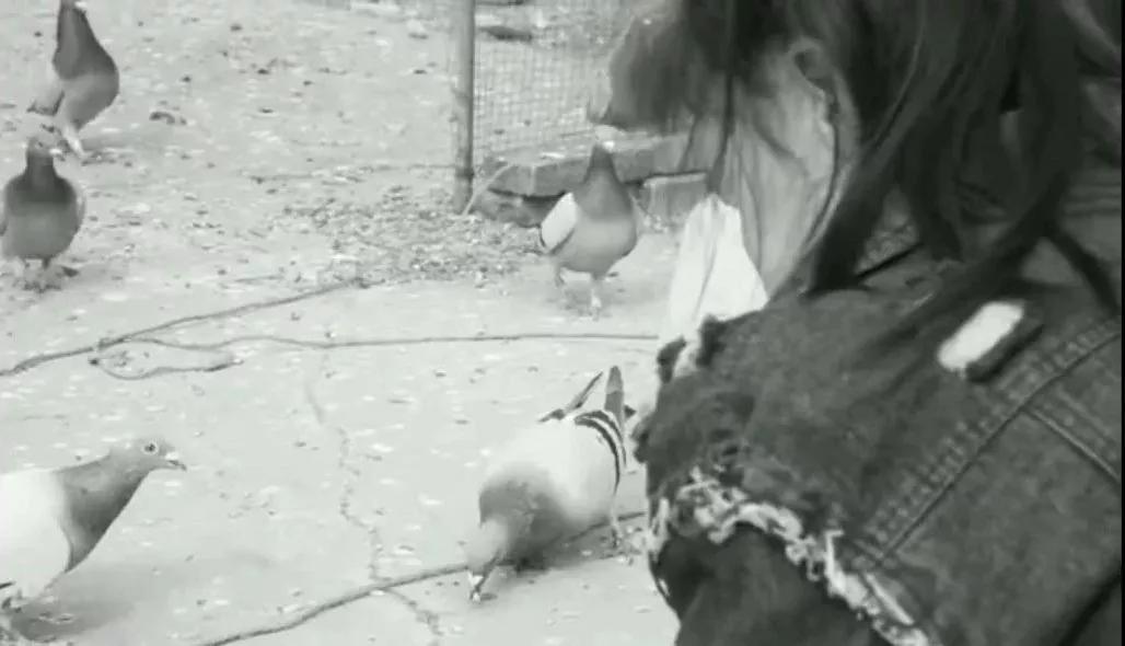 “换脸”手术22天后,辽宁“最年轻老人”重获15岁少女容貌