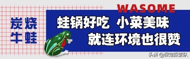 网红牛蛙塔,保定牛蛙