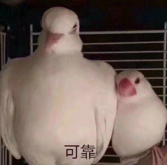 这几种面膜不能买小心烂脸,买错医美面膜当心会烂脸