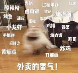 中国驻休斯顿总领馆关闭,中国驻休斯顿总领馆事件评论