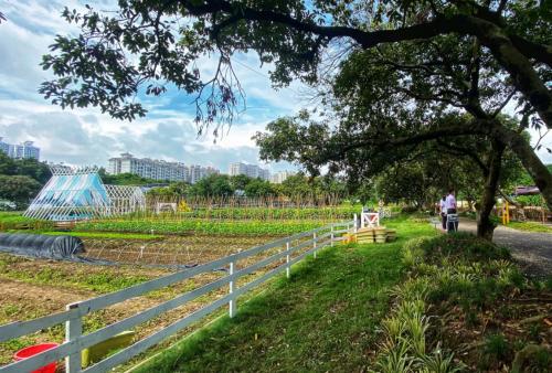 广州周末带娃好去处免费,广州遛娃的地方免费景点