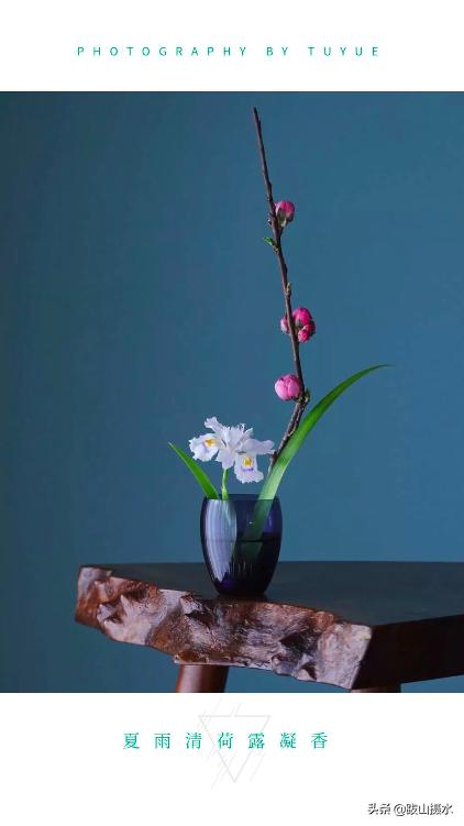 拍完照片这样一步操作，制作超美的图片