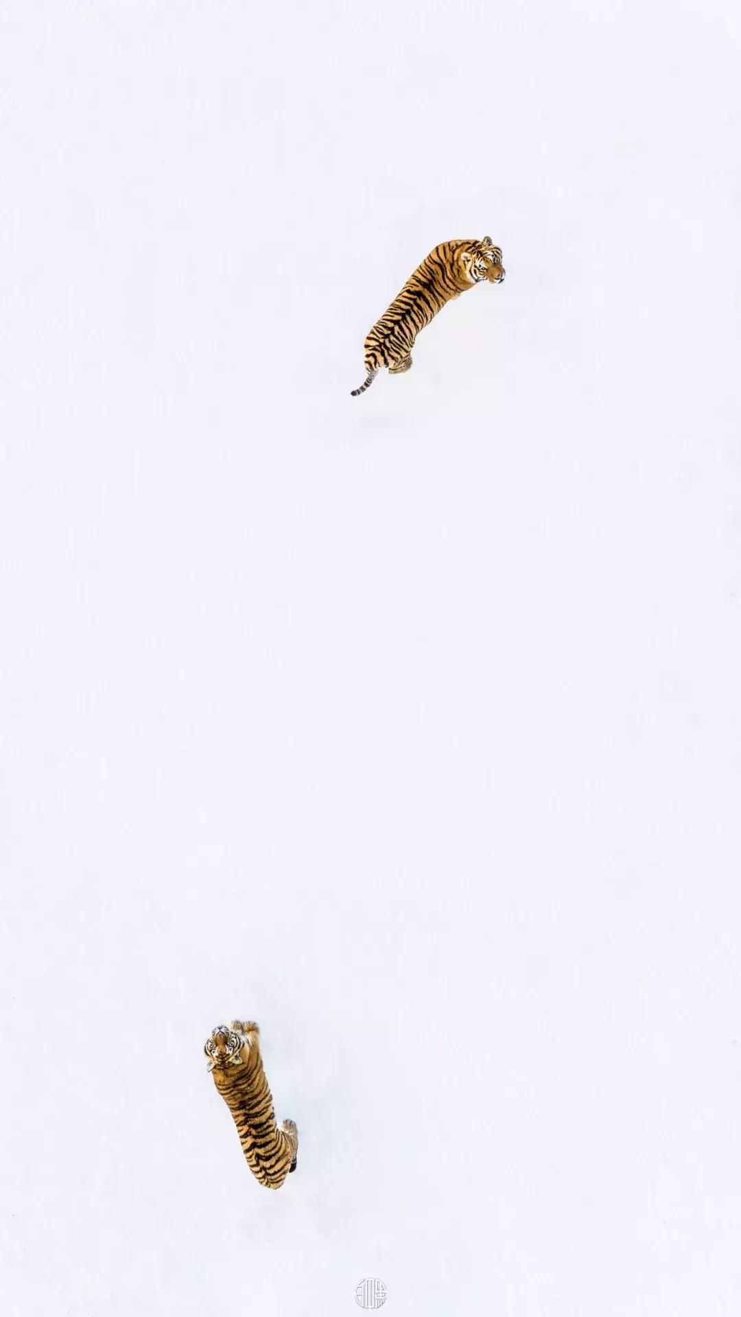 消失一年，中国航拍第一人回归！36张祖国山河美哭无数网友，再次惊艳了世界...