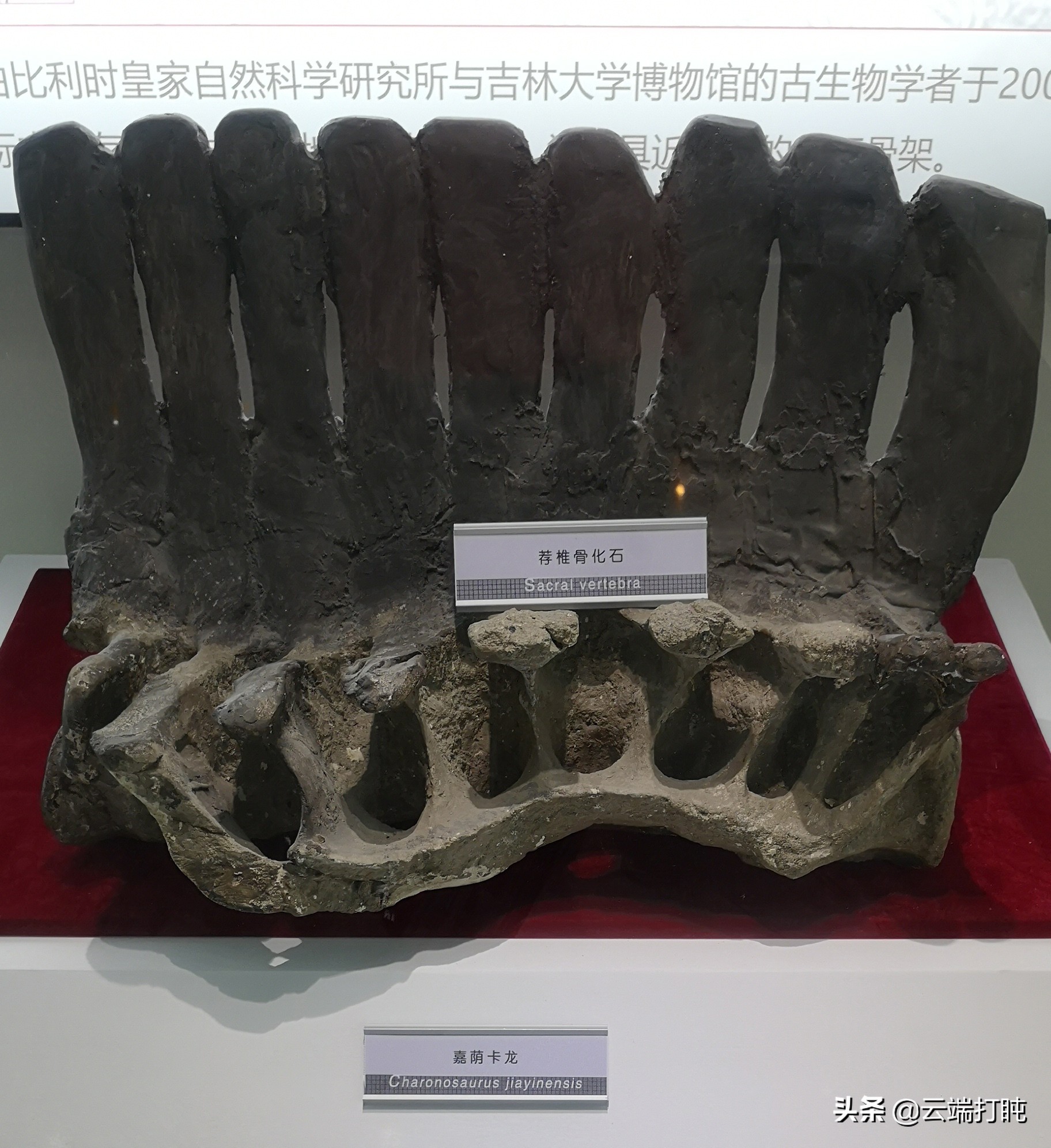 东北三省自驾大环线详细路线图,东北大环线自驾游记