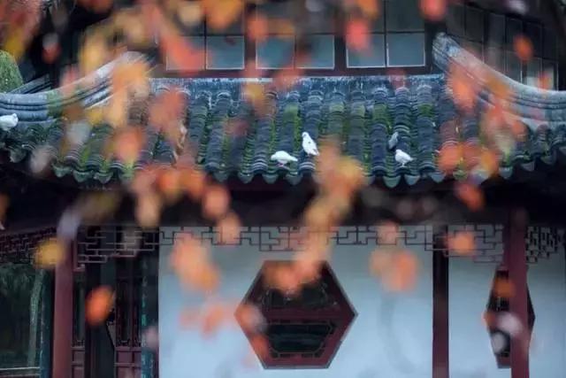 治家格言简短一句话,治家格言很有道理