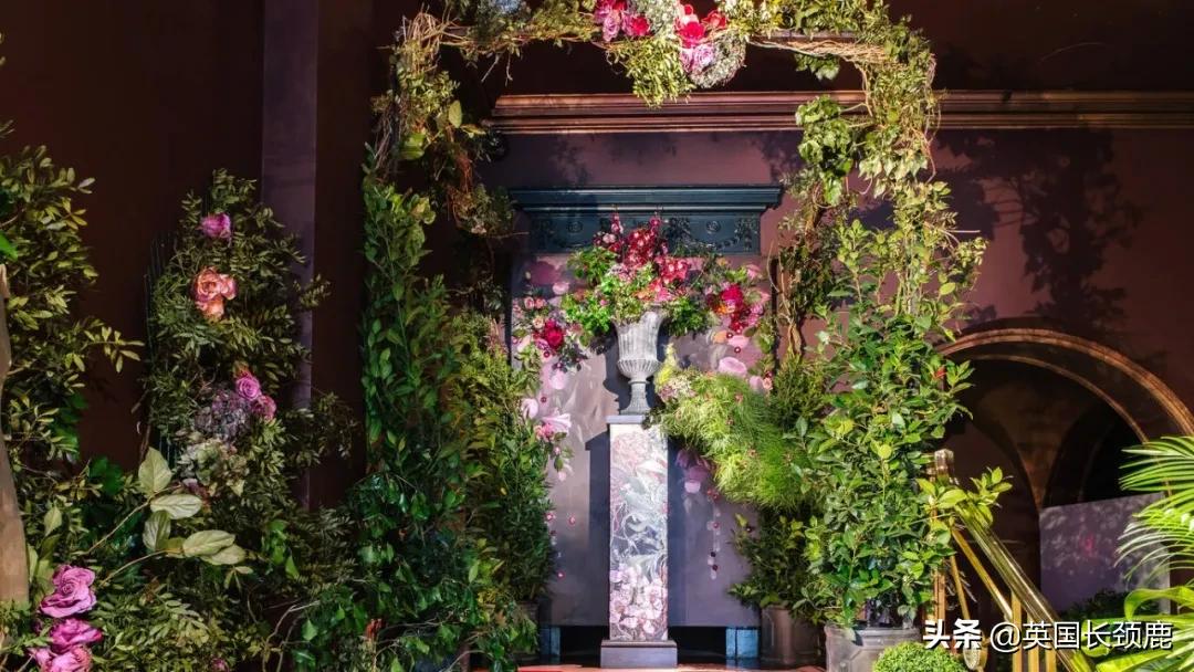 520/521：五月阳光下，伦敦依然盛放。记得常回来看看