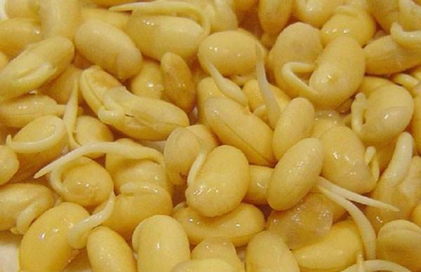 四年级上册第三单元观察日记400字,四年级三单元习作观察日记怎么写