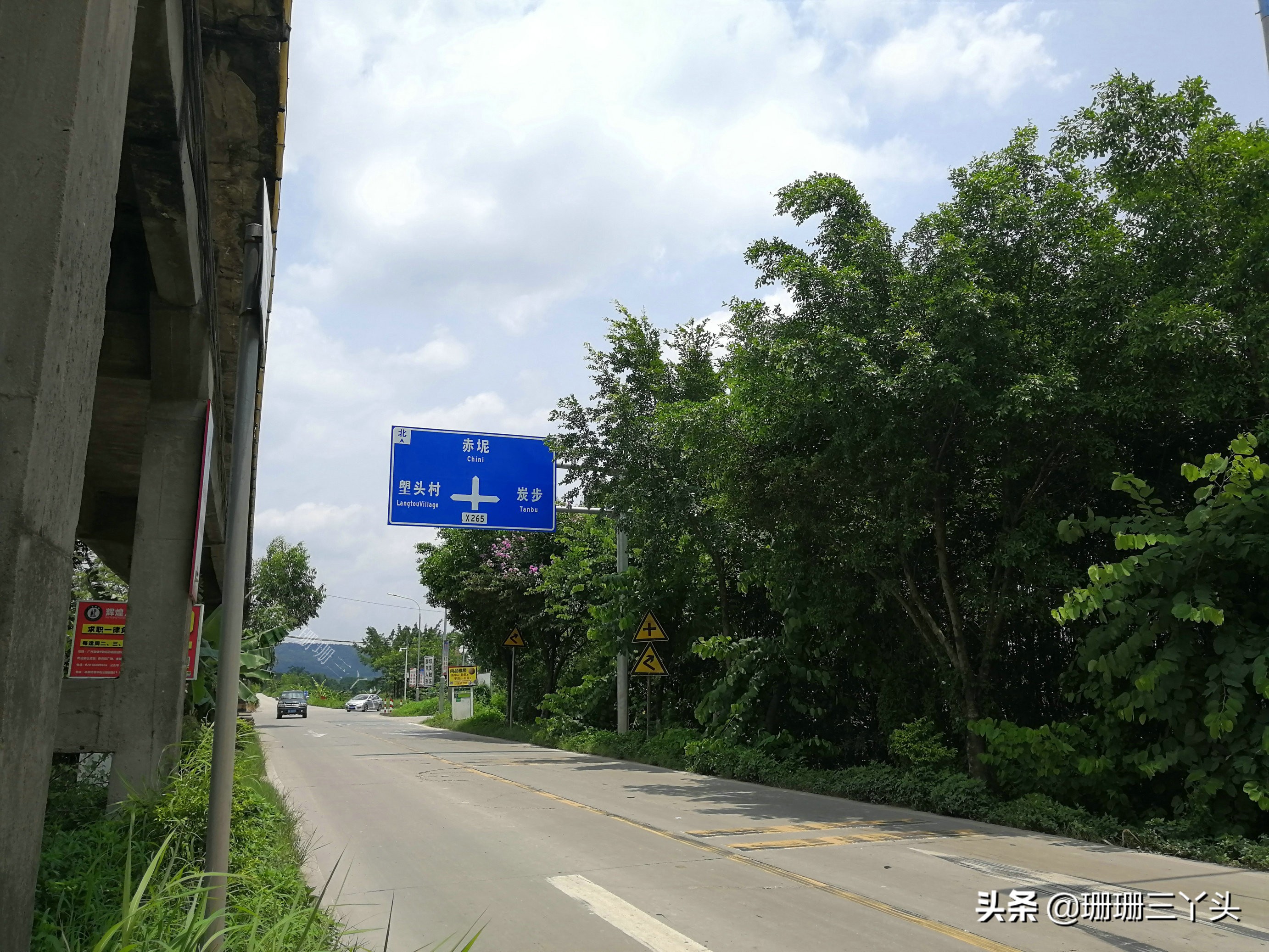 广州郊外古村，村始祖如何从养鸭专业户，到建“人才辈出”村子