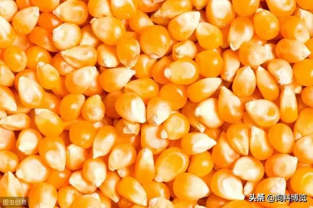 玉米市场跌势明显，拍卖成交再破新低！！！