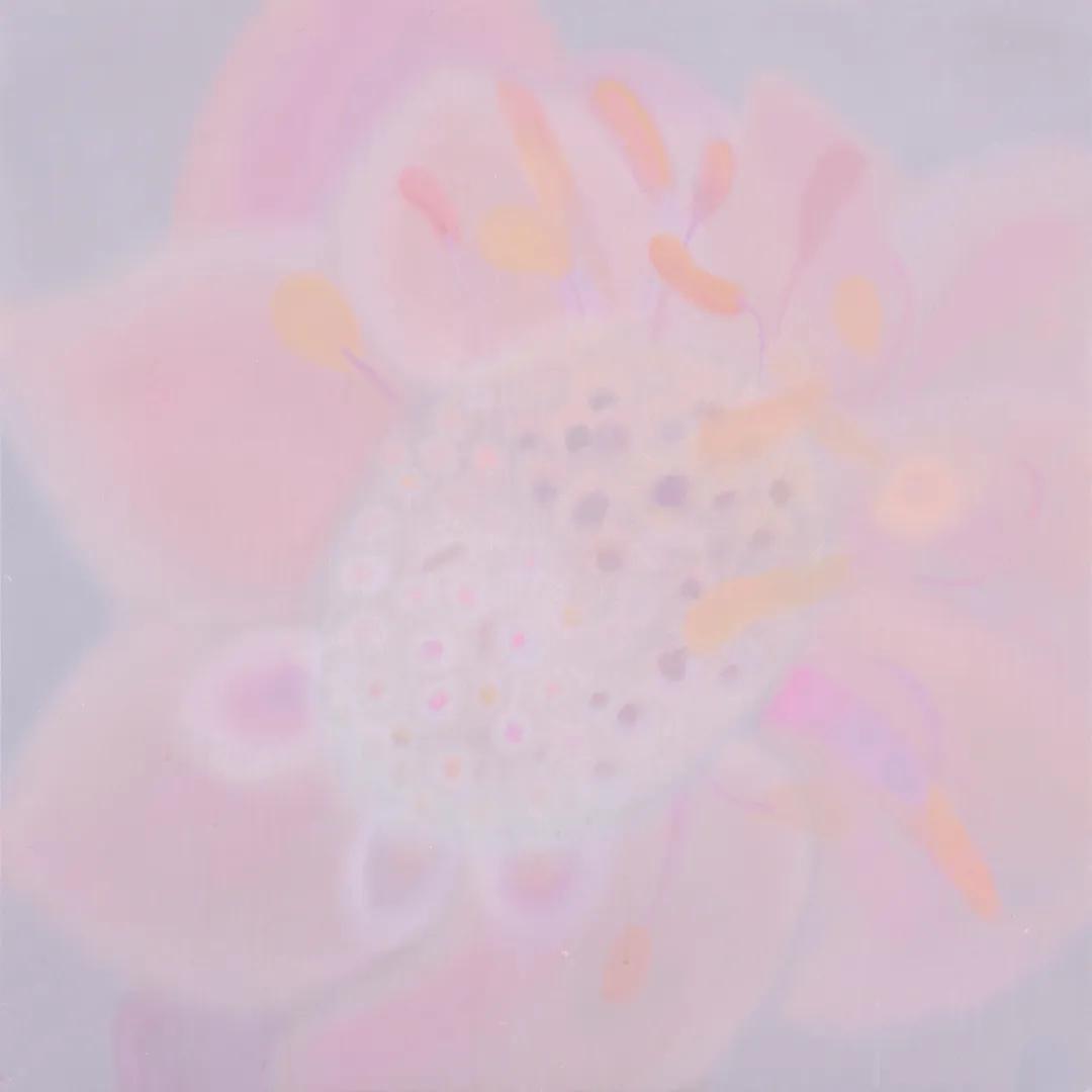 京美三人中必有我师焉,择其善者而从之