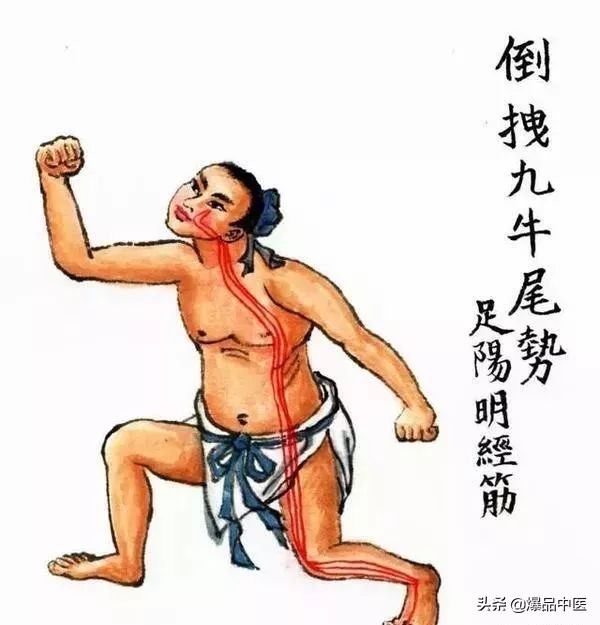 十二经筋连接动态图,十二经筋的图解