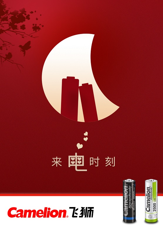 飞狮锂电池,飞狮800电池